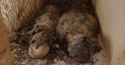 Две найденные мумии могут привести к гробнице Клеопатры - popmech.ru