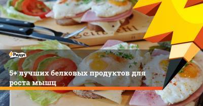 5+ лучших белковых продуктов для роста мышц - ridus.ru