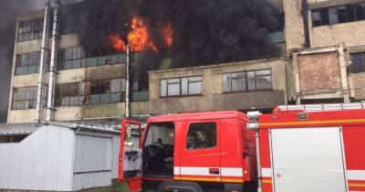 Огонь тушат почти полсотни людей: масштабный пожар на фабрике в Черновцах локализовали (4 фото) - tsn.ua - Черновцы
