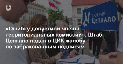 Валерий Цепкало - «Ошибку допустили члены территориальных комиссий». Штаб Цепкало подал в ЦИК жалобу по забракованным подписям - news.tut.by