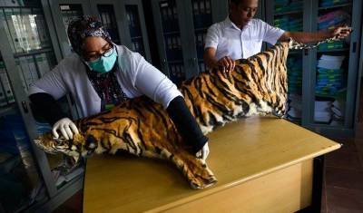 Ирина Зиганшина - Мьянма займется разведением редких животных, запрещенных в Китае - newizv.ru - Китай - Бирма