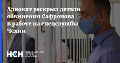 Иван Павлов - Иван Сафронов - Адвокат раскрыл детали обвинения Сафронова в работе на спецслужбы Чехии - nsn.fm - Чехия