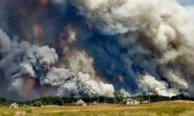 Лесные пожары в Луганской области: спасатели сделали экстренное заявление - politeka.net - Украина - Луганская обл. - ЛНР