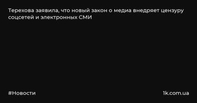 Терехова заявила, что новый закон о медиа внедряет цензуру соцсетей и электронных СМИ - 1k.com.ua