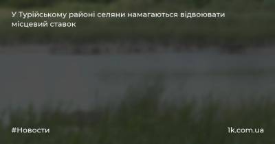 У Турійському районі селяни намагаються відвоювати місцевий ставок - 1k.com.ua - Украина