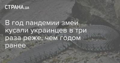 В год пандемии змеи кусали украинцев в три раза реже, чем годом ранее - strana.ua - Украина