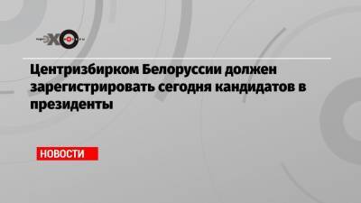 Александр Лукашенко - Сергей Тихановский - Виктор Бабарико - Центризбирком Белоруссии должен зарегистрировать сегодня кандидатов в президенты - echo.msk.ru - Белоруссия