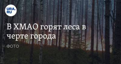 В ХМАО горят леса в черте города. ФОТО - ura.news - Россия - Югра - Советский - Югорск