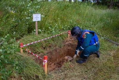 Эхо войны: на местах боев в Тверской области обнаружили останки красноармейцев и почти сотню снарядов - afanasy.biz - Тверская обл.