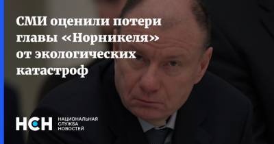 Владимир Потанин - СМИ оценили потери главы «Норникеля» от экологических катастроф - nsn.fm