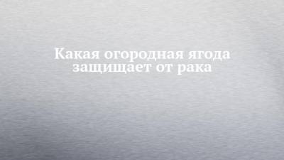 Какая огородная ягода защищает от рака - chelny-izvest.ru