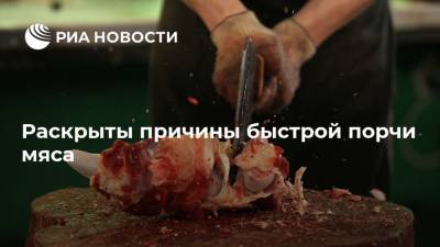 Раскрыты причины быстрой порчи мяса - ria.ru - Россия