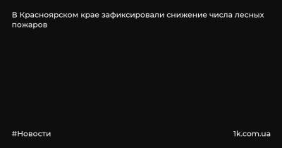 В Красноярском крае зафиксировали снижение числа лесных пожаров - 1k.com.ua - Красноярский край - Енисейск - населенный пункт Угрозы