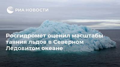 Роман Вильфанд - Игорь Шумаков - Росгидромет оценил масштабы таяния льдов в Северном Ледовитом океане - ria.ru - Россия - Арктика