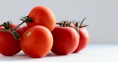 В Украине дефицит тепличных помидоров: как покрывается недостаток - tsn.ua - Украина - Турция - Польша