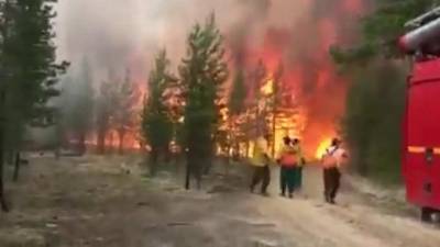 На окраине города Югорска в ХМАО загорелся лес - piter.tv - Югра - Советский - Югорск