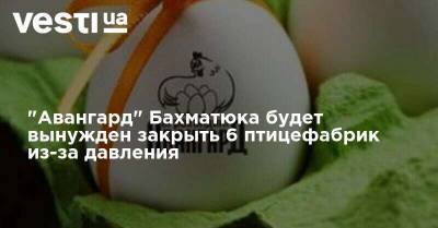 Из-за давления САП и НАБУ "Авангард" Бахматюка будет вынужден закрыть 6 птицефабрик - vesti.ua - Украина - Киев