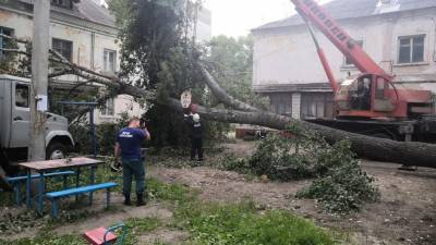 Роза Люксембург - Ураган повалил деревья в Ульяновске - ulpravda.ru - Ульяновск - Люксембург
