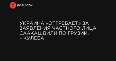 Михеил Саакашвили - Украина «отгребает» за заявления частного лица Саакашвили по Грузии, – Кулеба - bykvu.com - Украина - Грузия