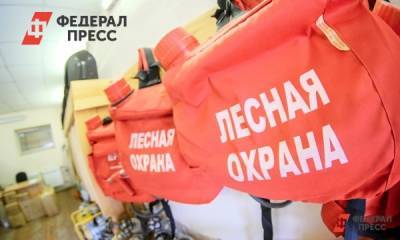 Для восстановления лесов Алтайский край получил спецтехнику - fedpress.ru - Барнаул - Алтайский край