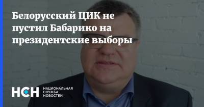 Александр Лукашенко - Виктор Бабарико - Белорусский ЦИК не пустил Бабарико на президентские выборы - nsn.fm - Белоруссия