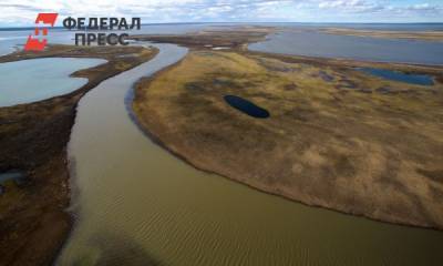 Топ-менеджер «Норникеля» в Общественной палате России: пиковый период пройден - fedpress.ru - Россия