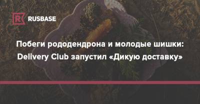 Побеги рододендрона и молодые шишки: Delivery Club запустил «Дикую доставку» - rb.ru - Россия