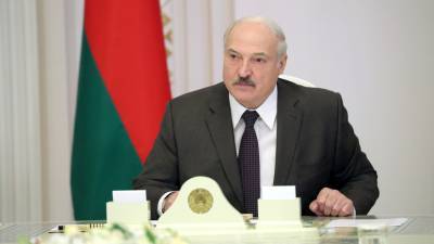 Александр Григорьевич Лукашенко - Лукашенко отказался от предвыборных выступлений - russian.rt.com - Белоруссия