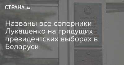 Александр Лукашенко - Виктор Бабарико - Названы все соперники Лукашенко на грядущих президентских выборах в Беларуси - strana.ua - Россия - Украина - Белоруссия