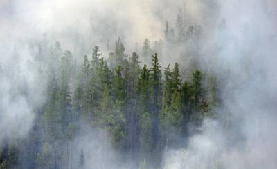 Aftonbladet (Швеция): химический дождь — новое оружие против лесных пожаров в Сибири - inosmi.ru - Россия - Швеция - Сибирь