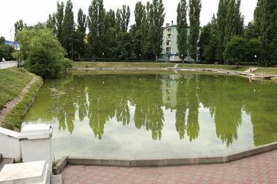 В Воронеже начали чистить озеро на Минской - vrn.mk.ru - Воронеж