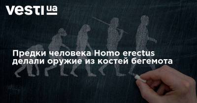 Предки человека Homo erectus делали оружие из костей бегемота - vesti.ua - Эфиопия