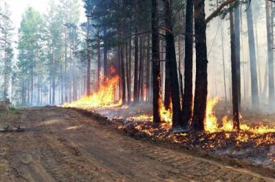 В Югре ввели режим ЧС из-за лесных пожаров - aif.ru - респ. Саха - Югра