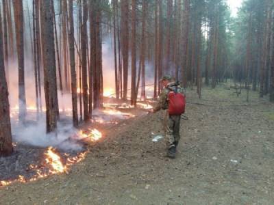 Наталья Комарова - В ХМАО объявлен режим ЧС из-за природных пожаров - nakanune.ru - Югра - Югорск