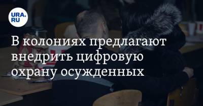 Сергей Чемезов - Александр Калашников - В колониях предлагают внедрить цифровую охрану осужденных - ura.news - Россия