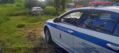 Автоинспекторы Карелии поймали пять пьяных водителей за сутки - stolicaonego.ru - Карелия - район Питкярантский
