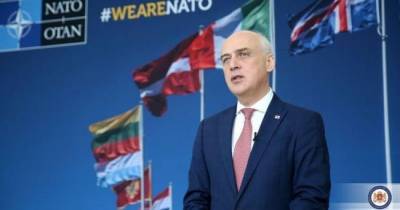 Давид Залкалиани - Мирча Джоанэ - Комиссия НАТО — Грузия похвалила Тбилиси - eadaily.com - Грузия - Тбилиси - Брюссель