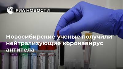 Новосибирские ученые получили нейтрализующие коронавирус антитела - ria.ru - Россия - Новосибирск