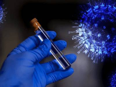 Нейтрализующие коронавирус антитела получили новосибирские ученые - live24.ru - Россия - Новосибирск