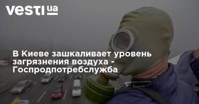 Борис Срезневский - В Киеве зашкаливает уровень загрязнения воздуха - Госпродпотребслужба - vesti.ua - Киев