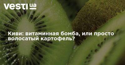 Киви: витаминная бомба, или просто волосатый картофель? - vesti.ua