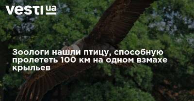 Зоологи нашли птицу, способную пролететь 100 км на одном взмахе крыльев - vesti.ua - Украина - Англия