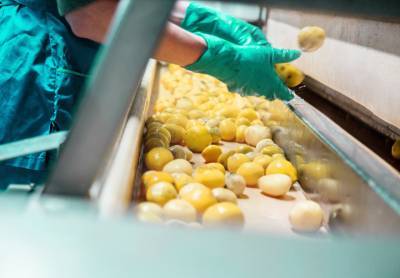 ВТБ финансирует одного из крупнейших производителей картофельных хлопьев - afanasy.biz - Россия - Тульская обл.