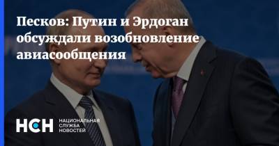 Владимир Путин - Дмитрий Песков - Тайип Эрдоган - Песков: Путин и Эрдоган обсуждали возобновление авиасообщения - nsn.fm - Россия - Турция - Анкара