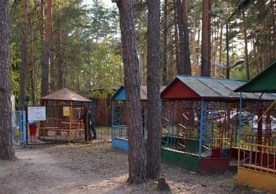 В Рязанской области заработали детские лагеря - ya62.ru - Рязанская обл.