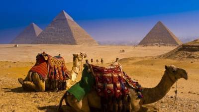 Египет решил защитить туристов от коронавируса горячей линией - polit.info - Россия - Египет