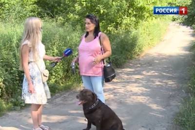 Псковичка подает в суд на хозяина трех агрессивных собак, которые ее покусали - mk-pskov.ru - Псков