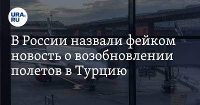 Дмитрий Горин - В России назвали фейком новость о возобновлении полетов в Турцию - ura.news - Россия - Турция