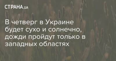 В четверг в Украине будет сухо и солнечно, дожди пройдут только в западных областях - strana.ua - Украина - Ивано-Франковская обл. - Волынская обл. - Хмельницкая обл. - Тернопольская обл. - Черновицкая обл. - Закарпатская обл.