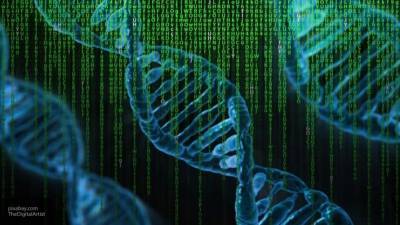 Генетики впервые полностью расшифровали X-хромосому человека - newinform.com - Россия - США